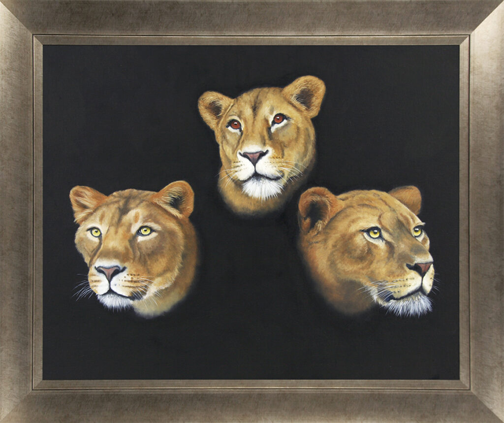 9846B Three Lions Framed Print