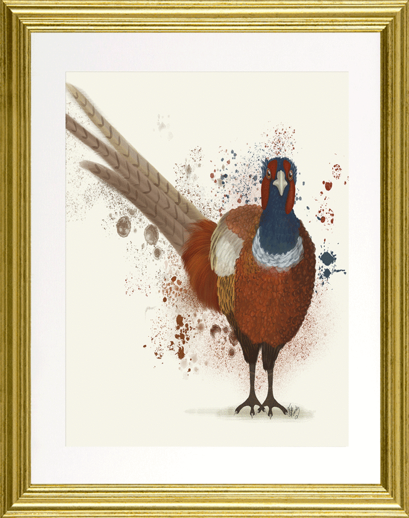 9988A Pheasant Splash I Framed Art